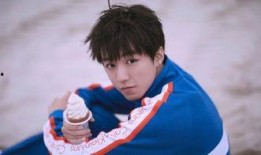 辉叔爆料王俊凯视频播放,王俊凯视频幕后真相，播放量背后的故事